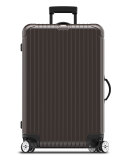 Salsa Electronic Tag Matte Bronze 29" Multiwheel 