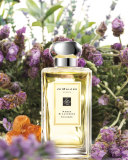 Amber & Lavender Cologne, 3.4 oz.