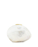 Sirene Shell Minaudiere, White