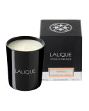Neroli Casablanca Scented Candle