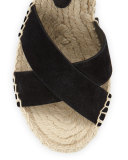Stefania Suede Espadrille Wedge Sandal, Black