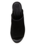 Clementine Suede Chunky-Heel Mule Sandal, Black