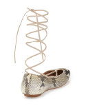 Faith Python-Print Lace-Up Ballerina Flat, Roccia