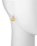 24K Hoopla Dome Earrings