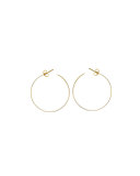 Medium Vanity 14K Hoop Earrings