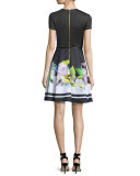 Vidaa Floral Short-Sleeve Belted Dress, Black