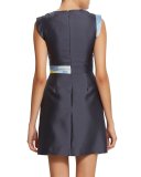 Raine Sleeveless Fit-&-Flare Dress