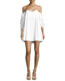 Gabriella Off-the-Shoulder Bustier Shift Dress