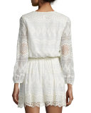Bittern Embroidered-Lace Dress