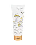 Willow & Water Shower Gel, 8 oz.  