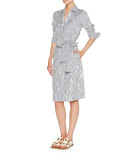 Painter Stripe Poplin Shirtdress, Blue Pattern