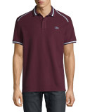 Striped-Trim Polo Shirt, Vendange/Navy Blue