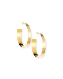 Polished Golden Hoop Earrings