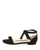 Clarita Suede Ankle-Tie Flat Sandal, Black