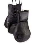 Python Boxing Gloves