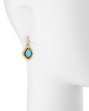 Old World Rainbow Moonstone Drop Earrings