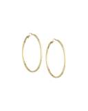 Large Golden Hoop Earrings