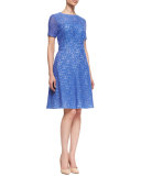 Lace Fit-and-Flare Dress