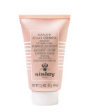 Radiant Glow Express Mask with Red Clay