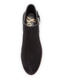 Paula Perforated Suede Bootie, Black