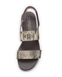 ZeroGrand Snake-Embossed Slingback Sandal, Roccia