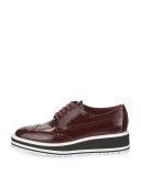 Patent Leather Lace-Up Creeper, Garnet (Granato)