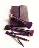 The Expert Brush Collection