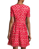 Short-Sleeve Pleated Lace Fit-and-Flare Dress, Red