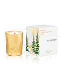 Mon beau Sapin Scented candle, 6.7 oz.