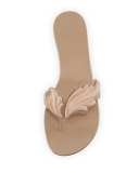Wings Suede Flat Thong Sandal, Fondontina