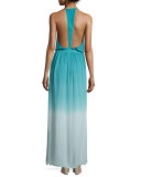 Nala Sleeveless Ombre Maxi Dress