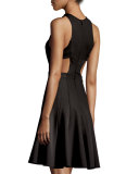 Megan Sleeveless Fit & Flare Dress
