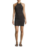 Mott Scalloped Lace Halter Minidress, Black