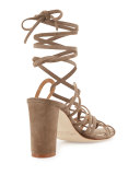 Jena Suede Lace-Up Sandal, Taupe