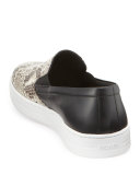 Python Leather Slip-On Sneaker, Brown