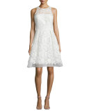 Sleeveless Fit-and-Flare Lace Dress 