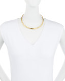 Golden Wrapped Horn Collar Necklace