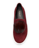 Eddy Mink Fur-Pompom Sneaker, Burgundy