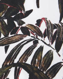 Foliage Cotton Sport Shirt, White