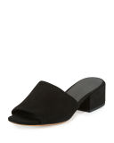 Rachelle 2 Suede Block-Heel Mule Sandal