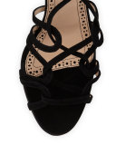 Jena Suede Lace-Up Sandal, Black