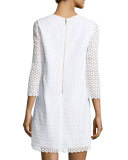 ashby guipure lace dress