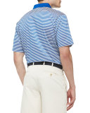 University of Kentucky Striped Gameday College Polo Shirt