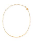 Cecelia Golden Chain Collar Necklace