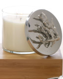 Ocean Coral Candle