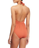 Phoenix Plunge-Neck Halter One-Piece Swimsuit