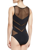 Shaw Solid/Mesh Striped One-Piece