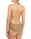 Brena Metallic Plunge-Neck One-Piece Swimsuit