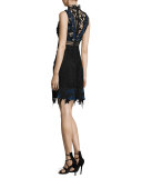 Clementine Bicolor Lace Sleeveless Dress