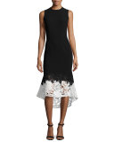 Sleeveless Lace & Crepe Fit-and-Flare Dress, Onyx